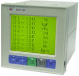 SWP-LCD-ASR-M化64路巡检仪